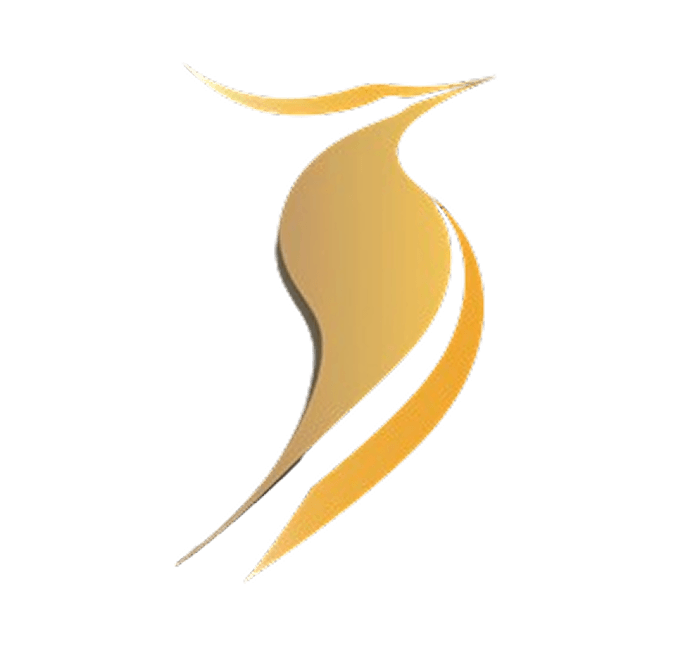 Stylized Bird Logo