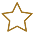 Feature Icon